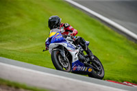 PJ-Motorsport-2019;anglesey;brands-hatch;cadwell-park;croft;donington-park;enduro-digital-images;event-digital-images;eventdigitalimages;mallory;no-limits;oulton-park;peter-wileman-photography;racing-digital-images;silverstone;snetterton;trackday-digital-images;trackday-photos;vmcc-banbury-run;welsh-2-day-enduro